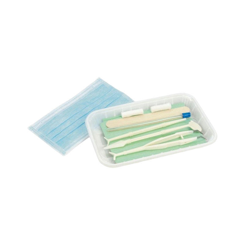 Customized Dental Instrumental Dentistry Composite Plastic Instrument Dental