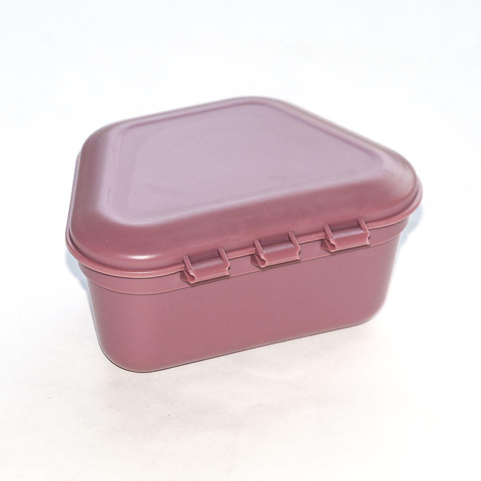 Favourable Price Dental Denture Box 2021 Boxs For Dentures For Sale